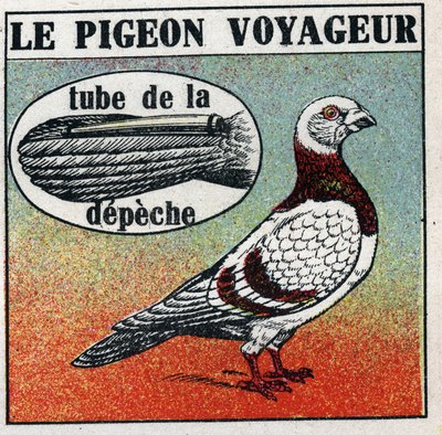 La Poste: le pigeon voyageur. Illustration anonyme de 1925. Collection privée. - Anonymous Anonymous