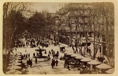 La ville de Marseille et ses environs vers 1885-1890 : La Promenade des Fleurs, Cours Saint-Louis - Anonymous Anonymous