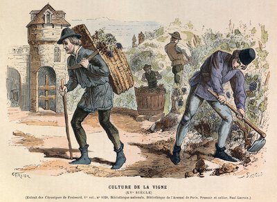 Culture de la vigne au 15ème siècle - Viticulture - Anonymous Anonymous