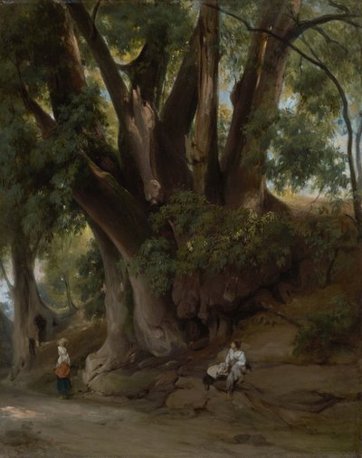 Paysage arboré italien (Route près d