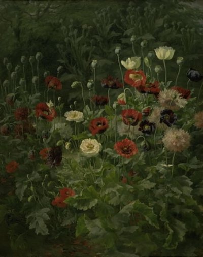 Coquelicots - Anthonie Christensen