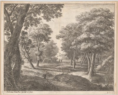 Un chemin à travers les bois, 17ème siècle - Anthonie Waterloo