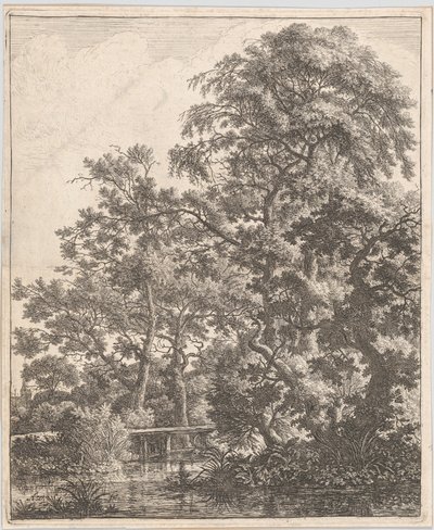 Petit pont sur un ruisseau - Anthonie Waterloo