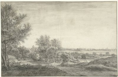 Vue des dunes sur Haarlem avec les ruines de la Maison de Kleef - Anthonie Waterloo