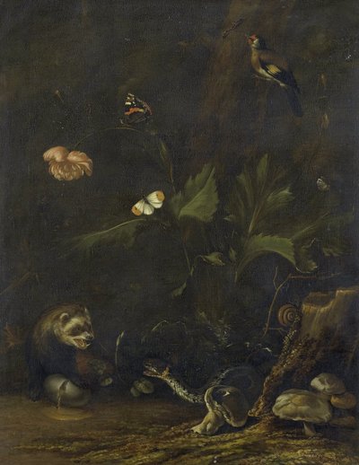Animaux et plantes - Anthonie van Borssom
