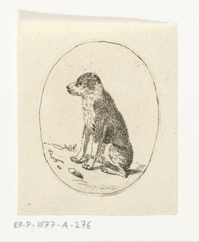 Chien assis - Anthonie van den Bos
