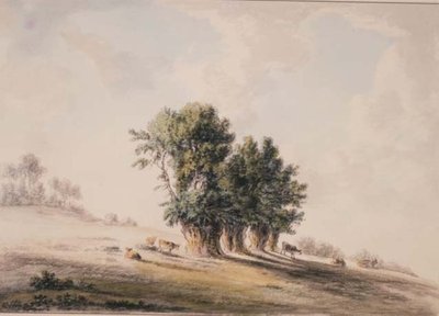 Paysage - Anthony Devis