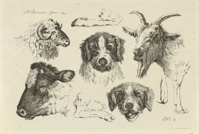 Têtes et pattes d