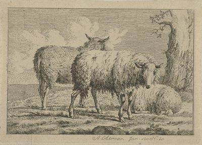 Trois moutons près d