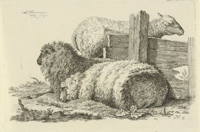 Mouton et bélier couchés (Études de vaches, moutons et chèvres) - Anthony Oberman