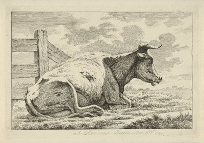 Vache couchée près d