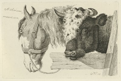 Tête de cheval et tête de taureau - Anthony Oberman