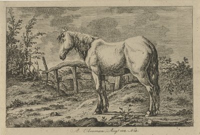 Cheval debout - Anthony Oberman