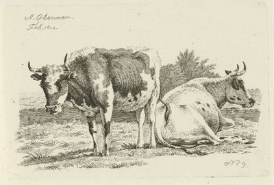 Vache debout et couchée - Anthony Oberman