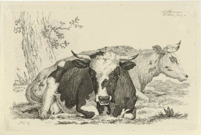 Deux vaches couchées devant un arbre - Anthony Oberman