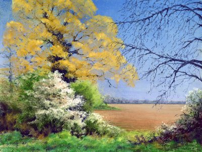 Hiver de prunellier, 2003 - Anthony Rule