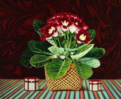 Nature morte Gloxiana - Anthony Southcombe