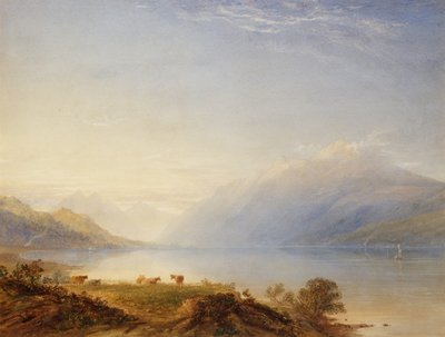 Bétail près d