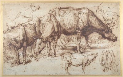 Bétail dans le pâturage, vers 1618-20 - Anthony van Dyck