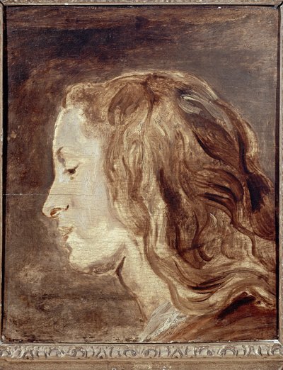 Étude de tête, première moitié du XVIIe siècle - Anthony van Dyck
