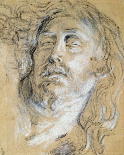 Tête du Christ mort - Anthony van Dyck
