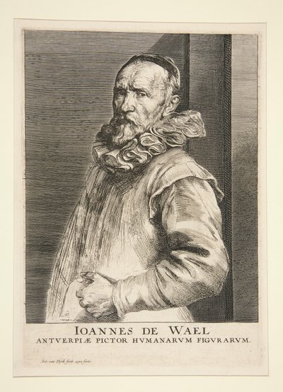 Portrait de Jan de Wael (1558-1633) - Anthony van Dyck