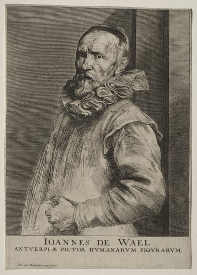Portrait de Jan de Wael Nevers - Anthony van Dyck