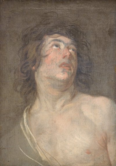 Étude de la tête d