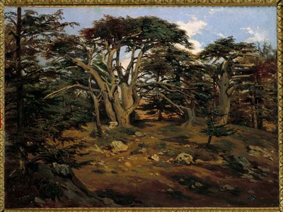 Les vieux cèdres sur le Mont Liban à Boumana - Antoine Alphonse Montfort