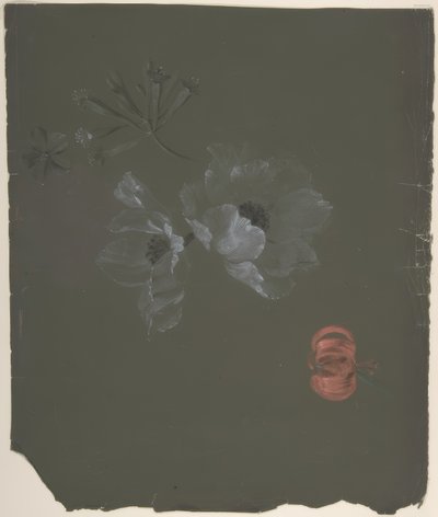 Design floral - Antoine Berjon