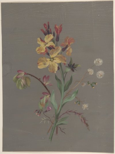 Motif floral - Antoine Berjon