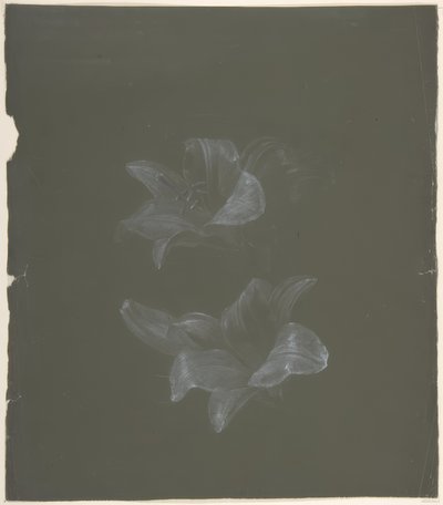 Motif floral - Antoine Berjon