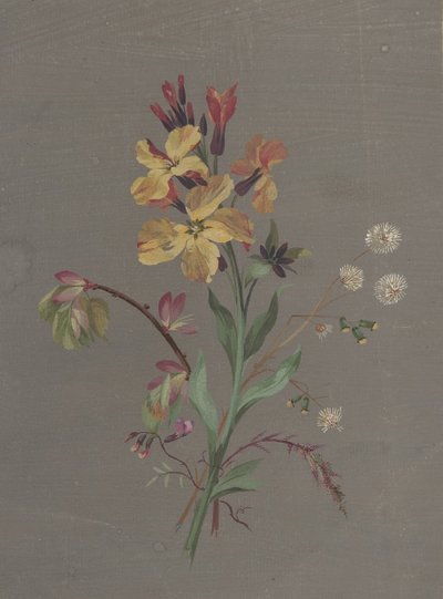 Motif floral - Antoine Berjon
