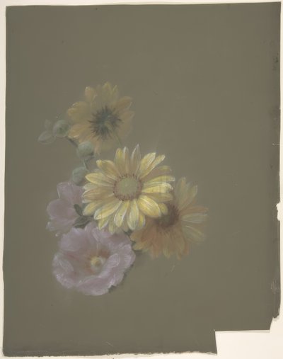 Marguerites jaunes et églantine rose - Antoine Berjon