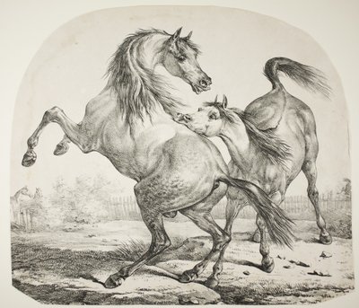 Chevaux sauvages se battant, vers 1820 - Antoine Charles Horace Vernet