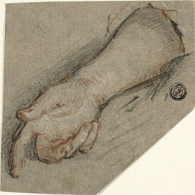 Dos de la main et avant-bras - Antoine Coypel