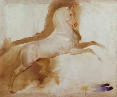 Cheval de Joachim Murat, vers 1832 - Antoine Jean Gros