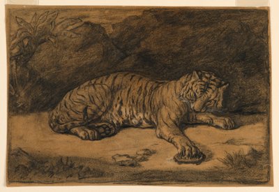 Un tigre et une tortue - Antoine Louis Barye
