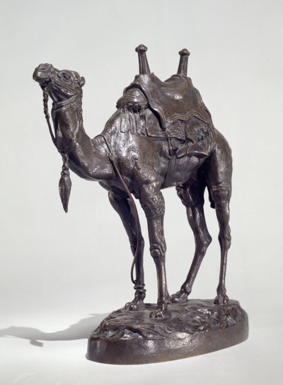 Dromadaire égyptien avec harnais - Antoine Louis Barye