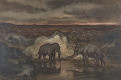 Éléphants près d