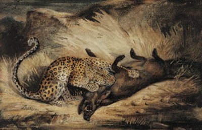 Léopard mangeant un sanglier - Antoine Louis Barye