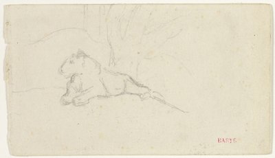 Lionne couchée près d