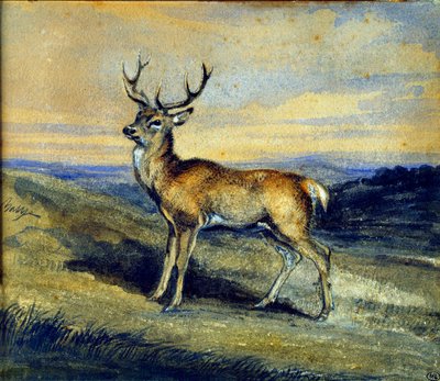 Le cerf - Antoine Louis Barye