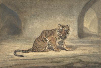 Tigre, 1810-1875 - Antoine Louis Barye