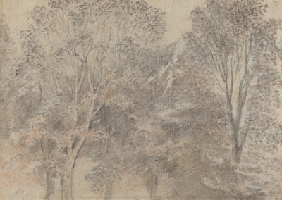 Cimes des arbres [verso] - Antoine Watteau