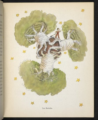 Les Baobabs, illustration de 