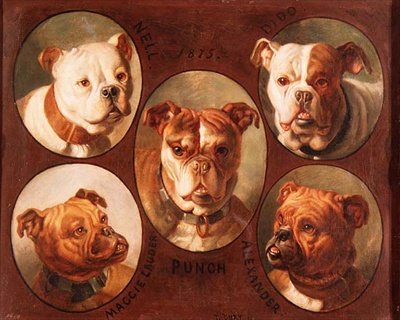 Nell, Dido, Punch, Maggie Lauder et Alexander, Bouledogues anglais - Antoine or Tony Dury