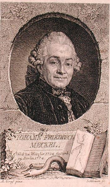Portrait de Johann Friedrich Meckel (1724-76) gravé par John Schleuen (fl.1740-74) - Anton (after) Graff
