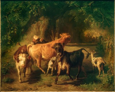 Jeunes bovins et chèvres - Anton Braith