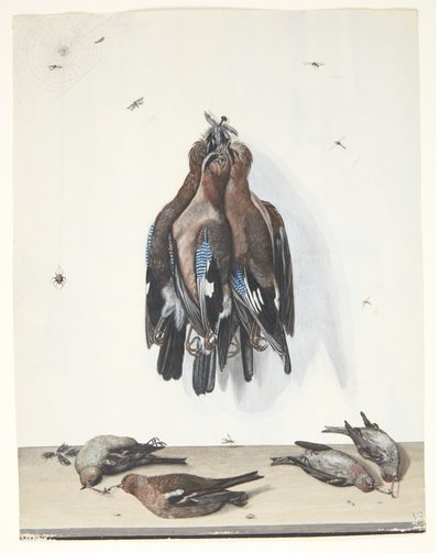 Nature morte avec oiseaux - Anton Ignaz Hamilton